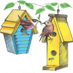 birds edited