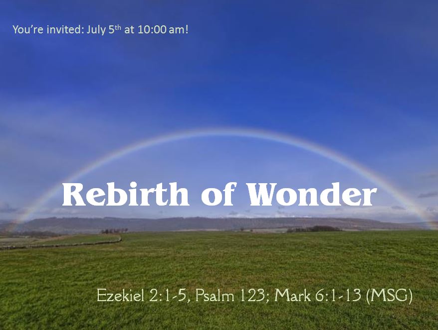 Rebirth of Wonder