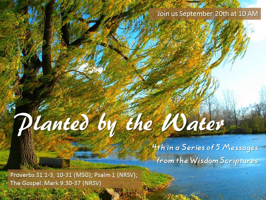Planted by the Water