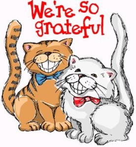cats1c