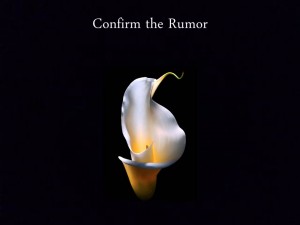 Confirm the Rumor
