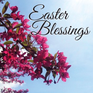 blossoms_13534ac