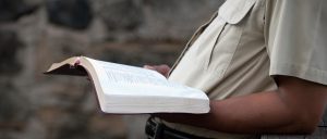 bible_7466c-cropped